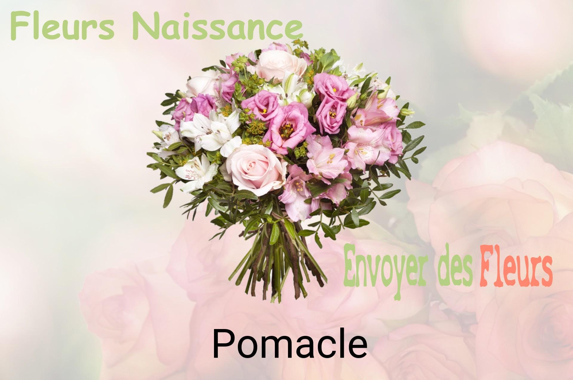 Bouquet de fleurs de naissance livré à Pomacle